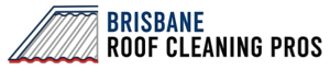Brisbane Roof Cleaning Pros